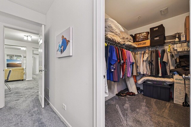 1845 Avon Dr, Hoffman Estates, IL 60192 - walk in closet featuring carpet flooring