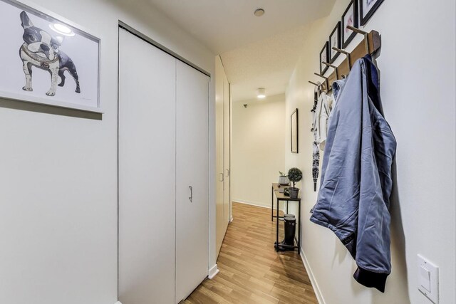 400 N La Salle Dr Unit 1607, Chicago, IL 60654 - hallway with light wood-style flooring and baseboards