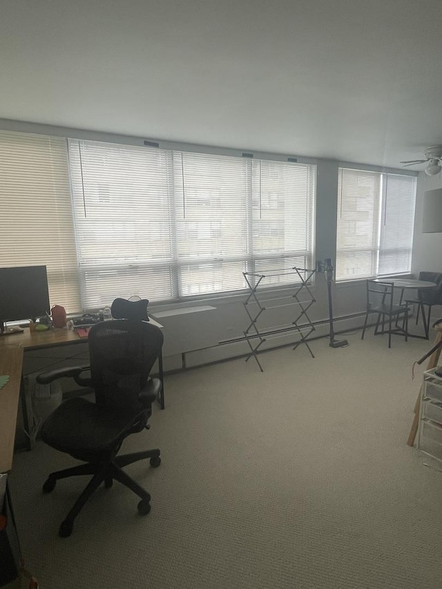 6171 N Sheridan Rd Unit 1910, Chicago, IL 60660 - carpeted home office featuring plenty of natural light