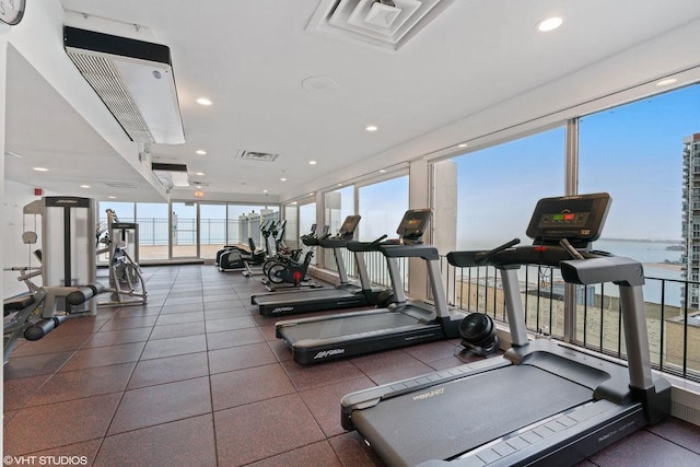 6171 N Sheridan Rd Unit 1910, Chicago, IL 60660 - gym with a wall of windows