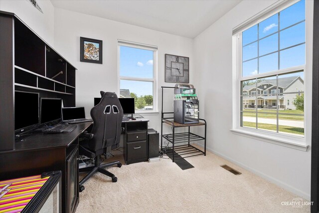 808 Karen Dr, Hampshire, IL 60140 - office area with carpet and baseboards