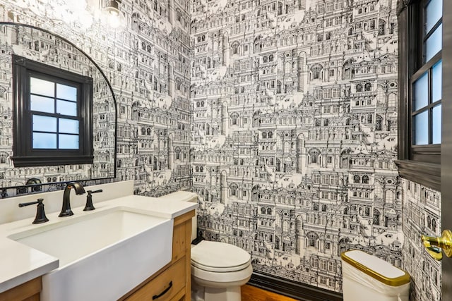 51 Mitchell Cir, Wheaton, IL 60189 - half bath with toilet and vanity
