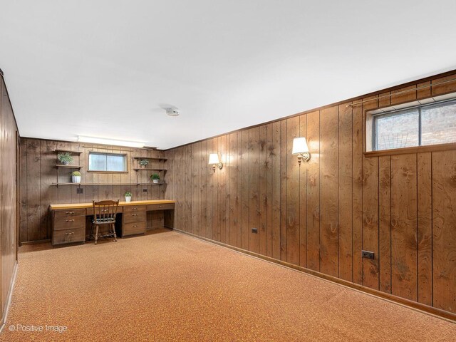 4220 Maple Ave, Brookfield, IL 60513 - unfurnished office with wood walls, healthy amount of natural light, carpet floors, and built in desk