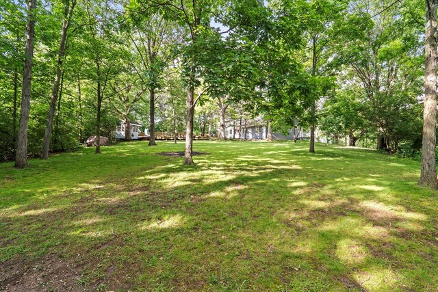 13302 Archer Ave, Lemont, IL 60439 - view of grassy yard