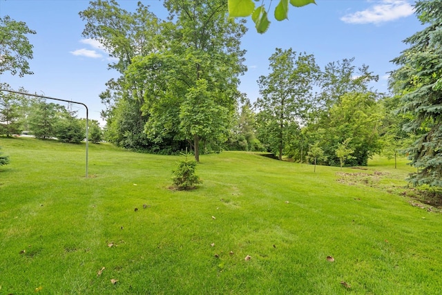 13302 Archer Ave, Lemont, IL 60439 - view of green lawn