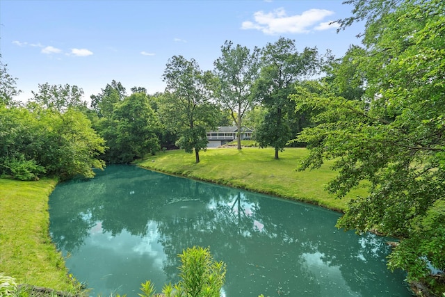 13302 Archer Ave, Lemont, IL 60439 - water view
