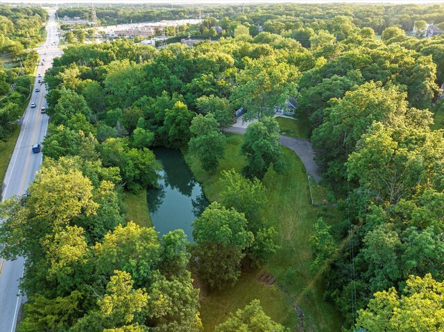 13302 Archer Ave, Lemont, IL 60439 - aerial overview of property's location with a large body of water
