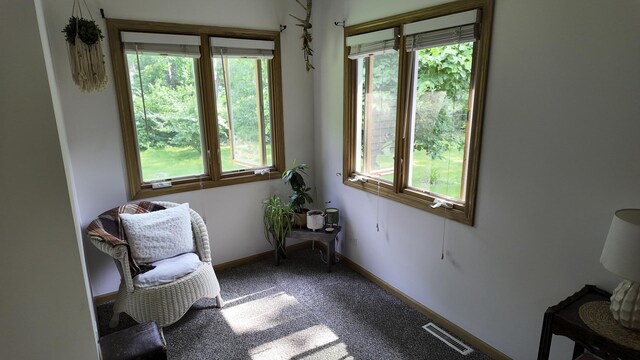 3 Wood Dr, Putnam, IL 61560 - photo 25