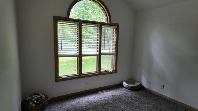 3 Wood Dr, Putnam, IL 61560 - photo 33