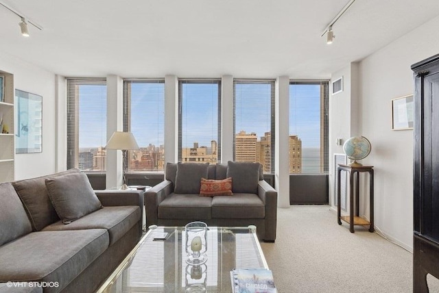 100 E Walton St Unit 40A, Chicago, IL 60611 - living area with rail lighting, plenty of natural light, light carpet, and a view of city