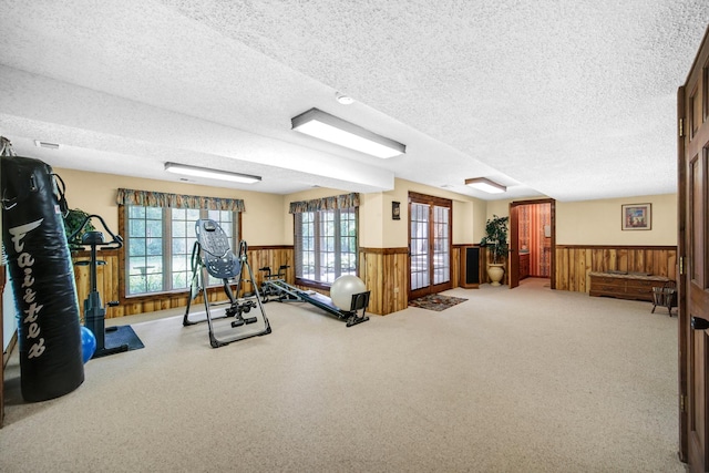 25115 W Cedarwood Ln, Ingleside, IL 60041 - exercise area featuring wainscoting, a textured ceiling, wood walls, and carpet floors