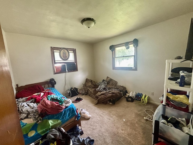 328 W Harrison St, Belvidere, IL 61008 - bedroom featuring carpet floors