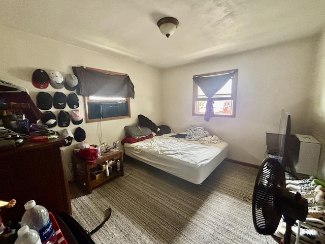 328 W Harrison St, Belvidere, IL 61008 - view of bedroom