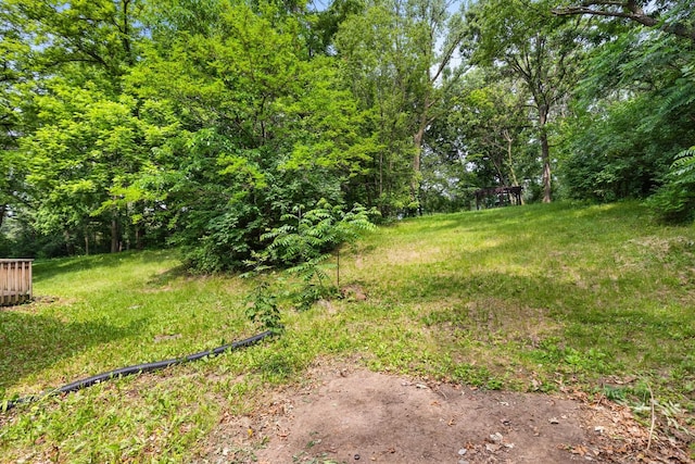 7204 Warblers Way, Roscoe, IL 61073 - view of yard