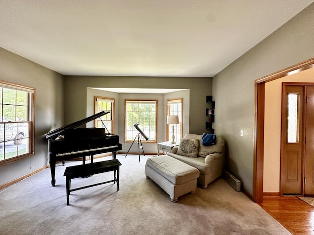 40W014 Margaret Mitchell St, Saint Charles, IL 60175 - photo 16