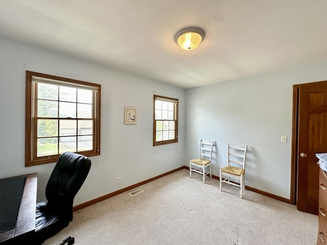 40W014 Margaret Mitchell St, Saint Charles, IL 60175 - photo 28