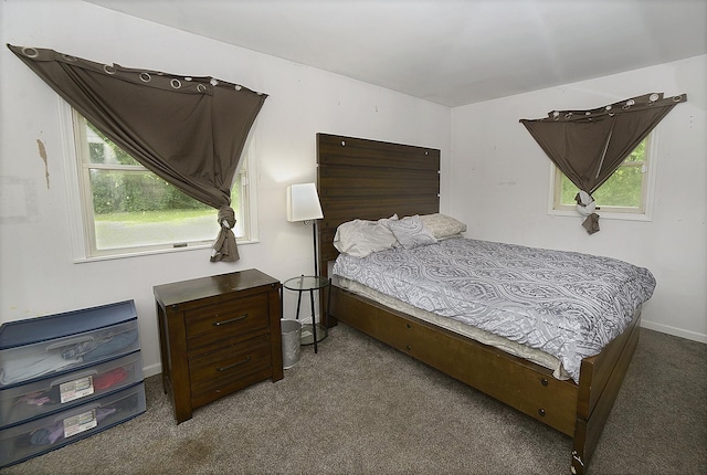 1400 Maple Ln, Marseilles, IL 61341 - bedroom with carpet and baseboards