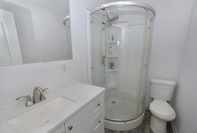 1400 Maple Ln, Marseilles, IL 61341 - bathroom featuring a shower stall, vanity, and wood finished floors