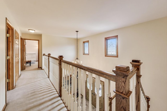 6448 Cambridge Rd, Willowbrook, IL 60527 - photo 20