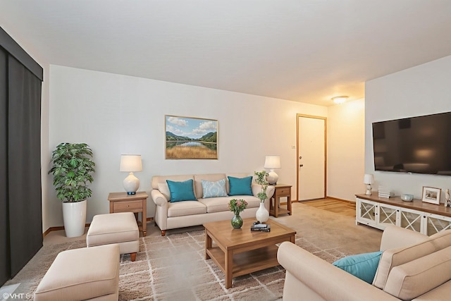 7914 164th Ct Unit 0, Tinley Park, IL 60477 - living room with baseboards
