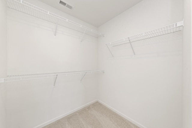 170 Goldenrod Dr, Elgin, IL 60124 - walk in closet featuring light carpet