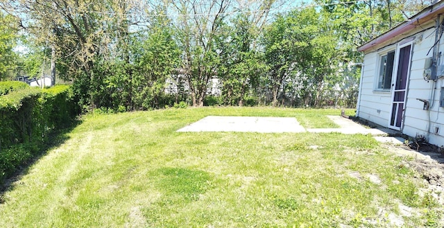 view of green lawn