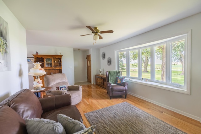 4265 Town Hall Rd, Belvidere, IL 61008 - living room featuring a ceiling fan and light wood finished floors