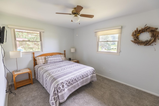 4265 Town Hall Rd, Belvidere, IL 61008 - carpeted bedroom featuring multiple windows and ceiling fan
