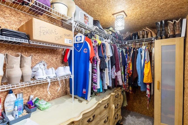 4265 Town Hall Rd, Belvidere, IL 61008 - spacious closet featuring carpet flooring