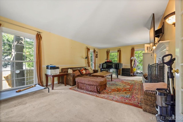 932 S Batavia Ave, Geneva, IL 60134 - view of carpeted living area