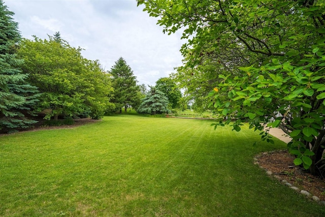 1098 Ironwood Cc Dr, Normal, IL 61761 - view of green lawn