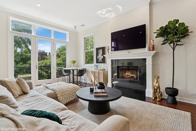 1051 N Hermitage Ave Unit 3, Chicago, IL 60622 - living room featuring ornamental molding, wood finished floors, and a fireplace