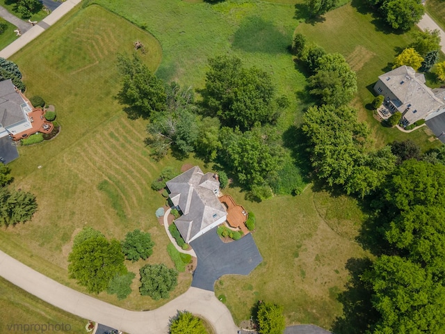 1771 Andrew Ct, Long Grove, IL 60047 - drone / aerial view