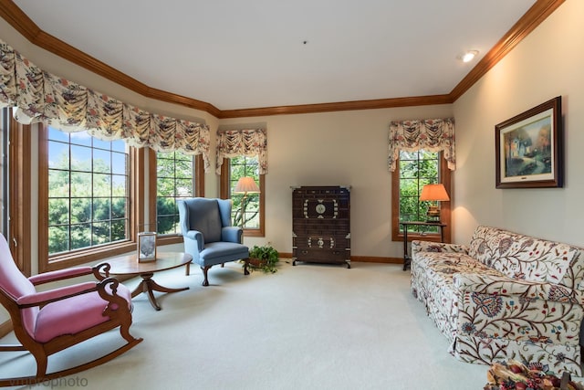 1771 Andrew Ct, Long Grove, IL 60047 - living room featuring carpet floors and ornamental molding