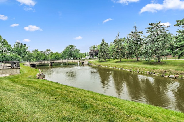 1420 Woodbridge Rd Unit 3C, Joliet, IL 60436 - water view featuring a tree filled landscape