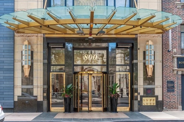 800 N Michigan Ave Unit 3103, Chicago, IL 60611 - view of exterior entry