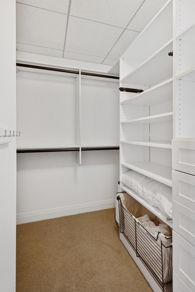 800 N Michigan Ave Unit 3103, Chicago, IL 60611 - walk in closet with carpet and a drop ceiling