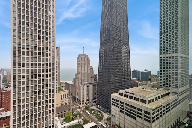 800 N Michigan Ave Unit 3103, Chicago, IL 60611 - city view