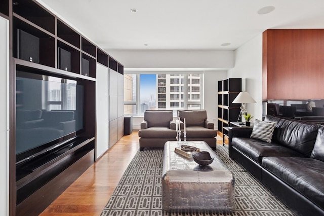 800 N Michigan Ave Unit 3103, Chicago, IL 60611 - living area featuring light wood finished floors and a view of city