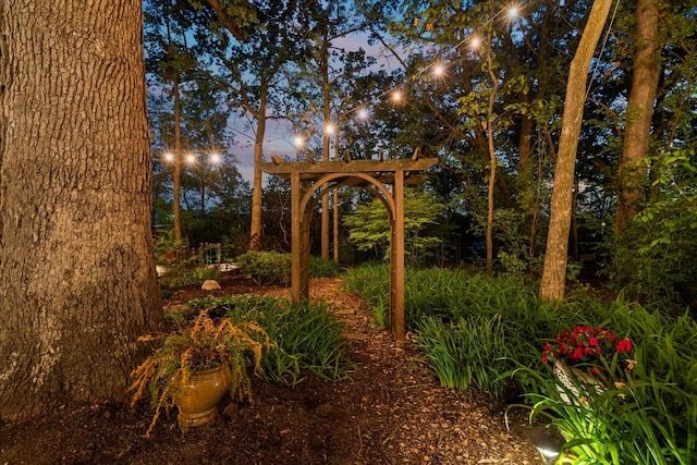 1396 Notre Dame Dr, Lemont, IL 60439 - view of yard