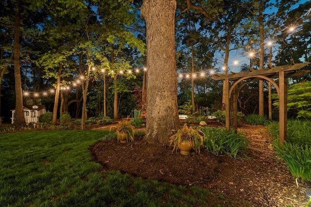 1396 Notre Dame Dr, Lemont, IL 60439 - view of grassy yard
