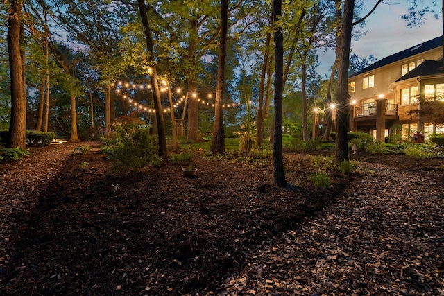 1396 Notre Dame Dr, Lemont, IL 60439 - view of yard