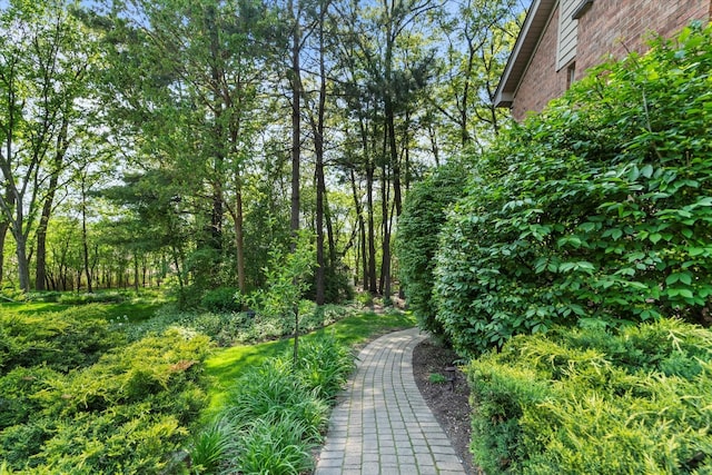 1396 Notre Dame Dr, Lemont, IL 60439 - view of home's community