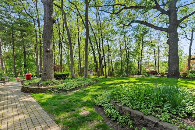 1396 Notre Dame Dr, Lemont, IL 60439 - view of green lawn