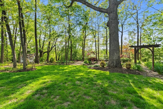 1396 Notre Dame Dr, Lemont, IL 60439 - view of grassy yard