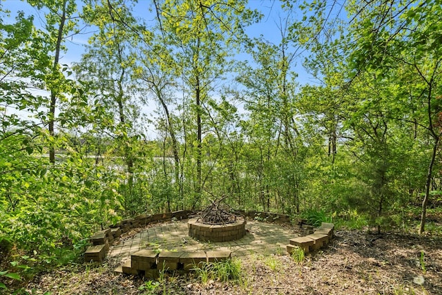 1396 Notre Dame Dr, Lemont, IL 60439 - view of tree filled area