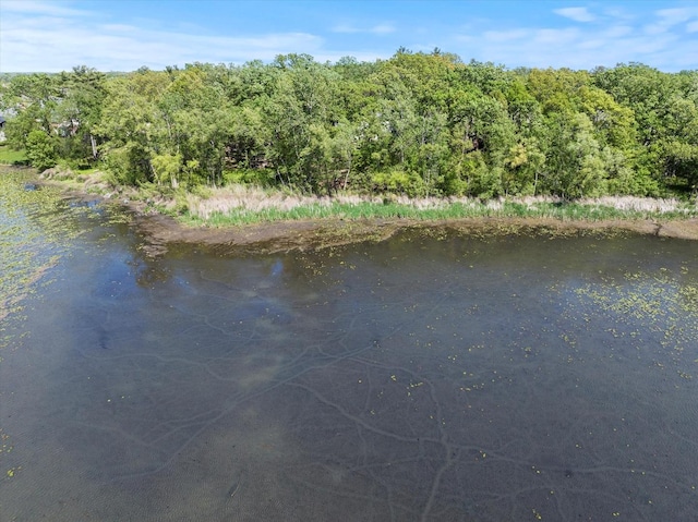 1396 Notre Dame Dr, Lemont, IL 60439 - water view