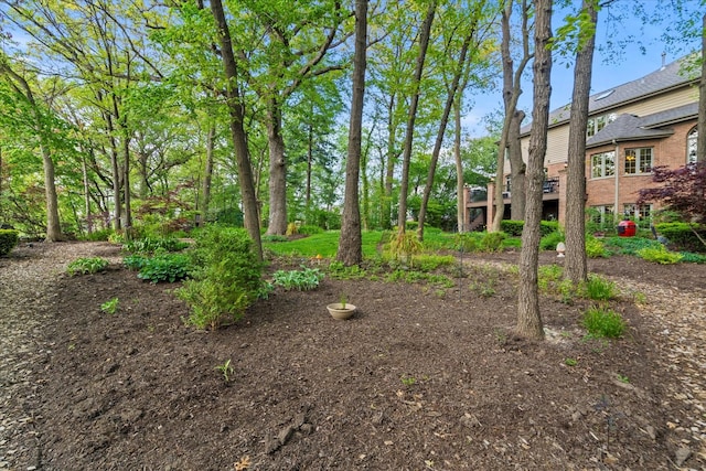 1396 Notre Dame Dr, Lemont, IL 60439 - view of yard