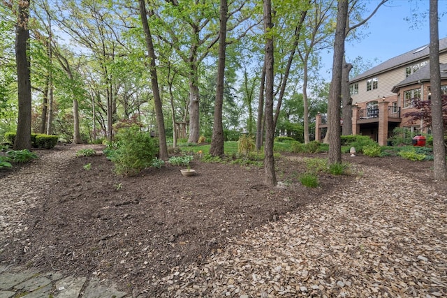 1396 Notre Dame Dr, Lemont, IL 60439 - view of yard