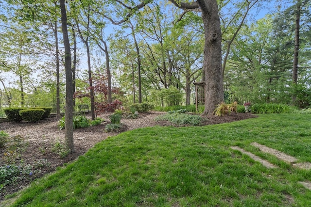 1396 Notre Dame Dr, Lemont, IL 60439 - view of grassy yard